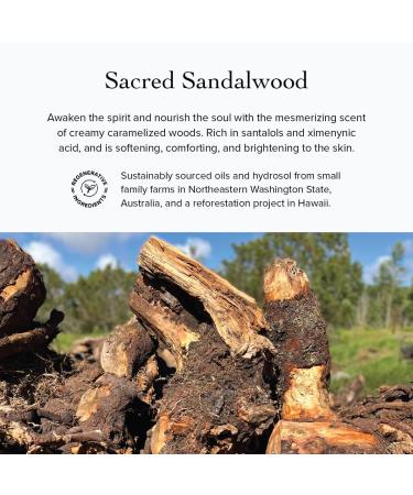 evanhealy Sandalwood Serenity Serum | Facial Oil Moisturizer with Sustainable Australian Sandalwood Seed Oil | Soothe Soften Beautify & Comfort All Skin - Buy Online on GoSupps.com