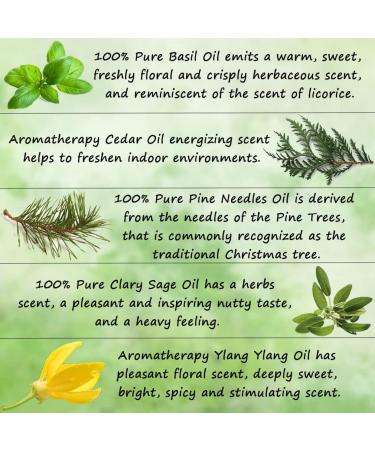 100% Pure Cedar Essential Oil Set for Diffuser Aromatherapy Ylang Ylang Essential Oil Kit for Home 5x10ml 100% Pure Basil Essential Oils Set - Clary Sage Pine Needles Oils for Air Freshener - Buy Online on GoSupps.com