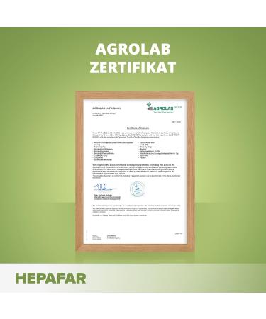 HepaFar Liver Detox Package - Milk Thistle Artichoke Green Tea | 60 Capsules & 40 Tea Bags | Advanced Detox by Sensilab - Buy Online on GoSupps.com
