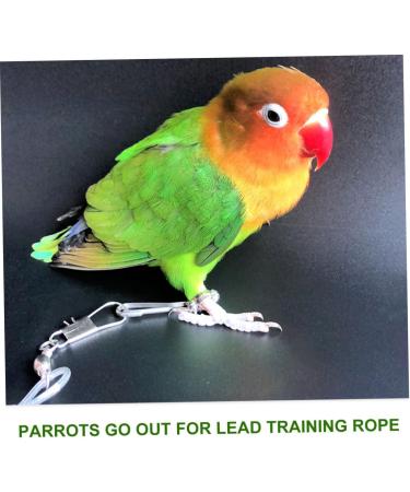 HANABASS 2 Pcs 15 Pet Leash Cockatiel Leash Cockatiel Harness Chicken Leashes and Harnesses Budgie Leash Size 5x2pcs As Shownx2pcs - Buy Online on GoSupps.com