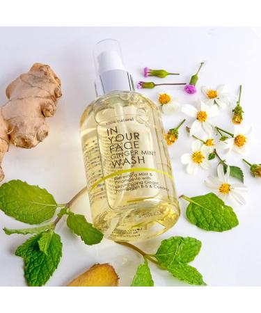 In Your Face Ginger Mint Wash Gentle Organic Face Wash with Ginger Mint & Chamomile pH-Balanced Facial Cleanser for Oily Skin Breakouts & Pores Natural Cleanser for All Skin Types 4 oz - Buy Online on GoSupps.com