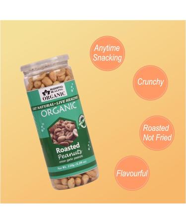 Blessfull Healing Organic Natural Vegan Onion Garlic Roasted Peanuts Crunchy Healthy Snacks 150 Gram - Buy Online on GoSupps.com