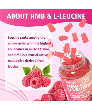 2 Pack HMB and L-Leucine Gummies HMB and Leucine Amino Acid for Muscle Growth Muscle Mass Muscle Relief and Fast Workout Recovery for Men & Women Sugar-Free Raspberry Flavor 120 Count 60 Count (Pack of 2) - Buy Online on GoSupps.com