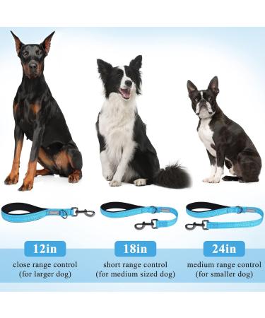 Vivaglory Short Dog Leash - Traffic Training Leash for Medium & Large Dogs | 46cm Sea Blue - Buy Online on GoSupps.com
