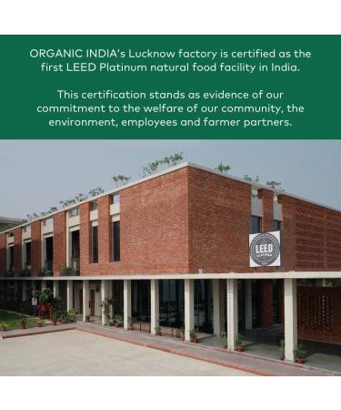 ORGANIC INDIA Amalaki Herbal Vitamin Supplement - Immune Support, Vitamin C, Vegan, Gluten-Free, Kosher, Ayurvedic, Antioxidant - 90 Capsules, USDA Certified Organic, Non-GMO - Buy Online on GoSupps.com