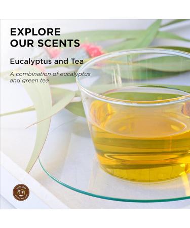 Hemp Seed Exfoliating Body Wash - Eucalyptus & Tea Scent - Vegan & Cruelty Free - 8 fl oz - Moisturizes & Cleans Skin with Hemp Oil Aloe Vera & Orange Peel Oil - Buy Online on GoSupps.com