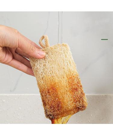 Loofah - Cleaning Dishwashing Sponge | Scratch-Resistant Loofah Dishwashing Cloth Scrub Pad for Plates Cookware Dishes Rowces Square Loofah-lanyard - Buy Online on GoSupps.com