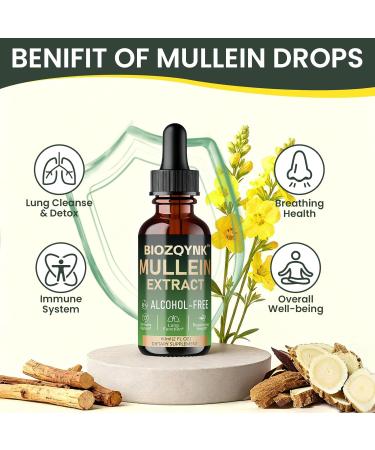 BIOZQYNK Mullein Drops Lung Cleanse - Leaf Extract - Powerful Mullein for Immune Support Detox & Respiratory Support- Lung Cleanse for Smokers Vegan Alcohol-Free (2 fl oz) - Buy Online on GoSupps.com