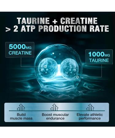 Micronized Creatine Monohydrate for Women-Men Creatine Powder with Taurine Creatine Zinc & Magnesium to Support Muscle Growth & Workout Recovery Unflavored 6.5g per Servings 60 Servings. - Buy Online on GoSupps.com