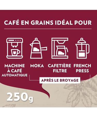 Lavazza Tales of Napoli Coffee Beans 1.5 kg for Automatic Coffee Machines Cocoa and Caramel Notes Arabica and Robusta  - Buy Online on GoSupps.com