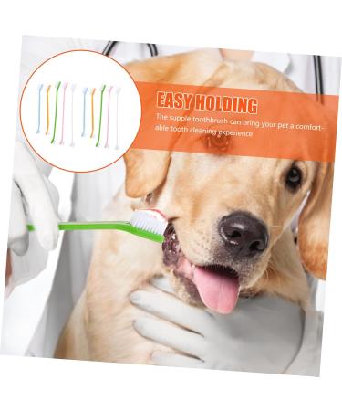 COSMEVIVI 10pcs Pet Toothbrush Pet Cleaning Toothbrush Cat Toothpaste Pet Toothpaste Dual-head Dog Puppy Nylon - Buy Online on GoSupps.com