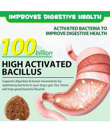 Probiotics Chews for Dogs 60 Counts Pre & Digestive and Immunity Treats for Dog 60Pcs Support Gut Health Seasonal Allergies Itchy Skin for All Type Dogs (Duck Flavor) - Buy Online on GoSupps.com