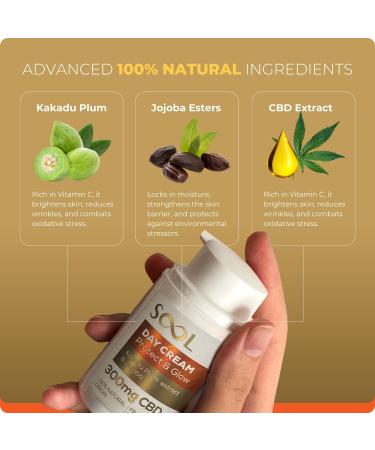  Sool SOOL Protect & Glow Day Face Cream 300 mg CBD 50 ml | Revitalizing CBD Face Treatment | Anti-Wrinkle Cream with Kakadu Plum Extract | Best Day Cream for All Skin Types - Buy Online on GoSupps.com