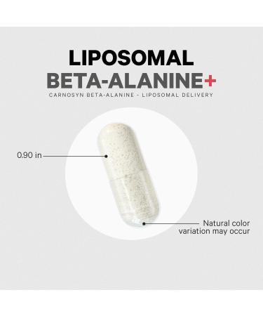 Codeage Liposomal Beta-Alanine Supplement - CarnoSyn - 180 Capsules for Pre & Post Workout - Non-GMO 2-Month Supply - Optimal Liposomal Delivery - Buy Online on GoSupps.com