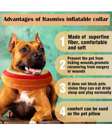 Inflatable Dog Cone Collar - Soft Recovery Cone for Dogs & Cats - Rainbow Donut Design - Small Size - Buy Online on GoSupps.com