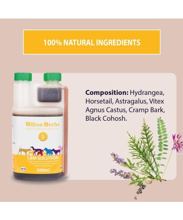 Buy Hilton Herbs LBM Solution for Dogs - 500 ml | Premium International Shipping - Buy Online on GoSupps.com