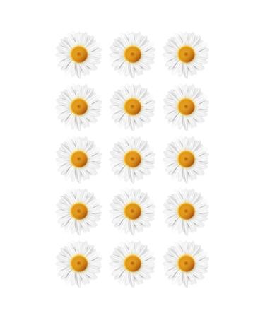 15 x Daisy Flower Edible Wafer or Icing Cupcake Toppers Fun Spring Party Cake Decorations Perfect For Brownies Cookies Muffins & More! (Edible Wafer Card)