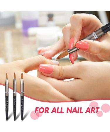 3 Pieces Oval Crimped Kolinsky Acrylic Nail Brush Set - Metal Handle Nail Art Brushes for Acrylic Manicure - Various Sizes Included - Buy Online on GoSupps.com