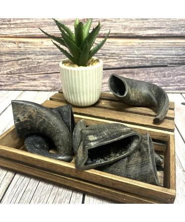 Small Buffalo Horns x 5 Natural Dog Treats Chews LPD - Buy Online on GoSupps.com