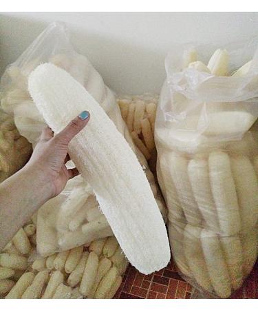 Big natural Loofahs Loffa Lofa Loofa 100% Natural Loofahs Sponges Perfect For SPA Beauty Bath Sponge Body Scrubber Puff Bathing Accessories. Premium Quality Luffa for exfoliating Your Skin.