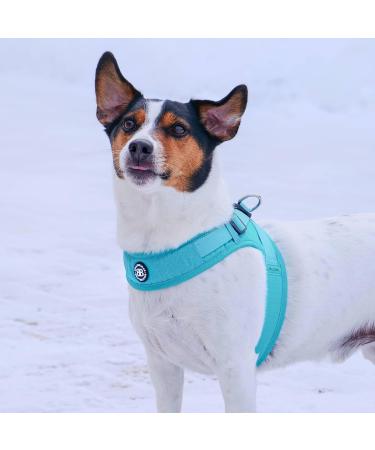 BullyBillows Boomerang Harness | Lightweight & Non-Restrictive Dog Harness | Easy Slip On & Off Design | Premium Quality with Velcro Strap | Carminerose M Medium - Buy Online on GoSupps.com