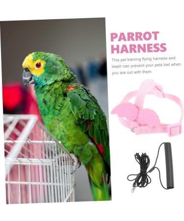 DOITOOL 3 Sets Bird Leash Suspend Parrot Harness and Leash Conure Birds Flying Harness Kit Gecko 12X6X1.3CMx3pcs Pinkx3pcs - Buy Online on GoSupps.com