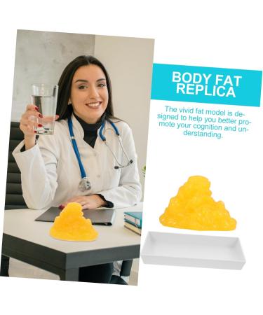 POPETPOP Fat 1lb Fat Model Manikin Demonstration for Fitness Room 5lb Fat Human Body Fat Replica Sports Student Base - Buy Online on GoSupps.com