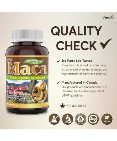 Herba Organic Maca for Men & Women - 200 Capsules | 100% Organic Gelatinized Maca Root | 500mg Peruvian Yellow Maca per Vegetable Capsule | Made in Canada - Buy Online on GoSupps.com