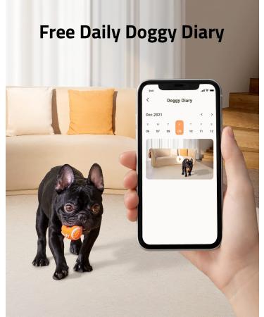 eufy Pet Camera: On-Device AI Tracking, 360 View, 1080p, Treat Dispenser, 2-Way Audio, Phone App - No Monthly Fee - Buy Online on GoSupps.com