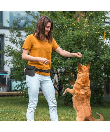 AEMIAO Dog Treat Pouch with Magnetic Closure - Hands-Free Small Puppy Training Bag - Adjustable Waistband & Bonus Carabiner - Grey - Buy Online on GoSupps.com