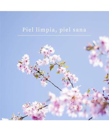 GIS LE DENIS Facial Cleansing Gel with Aloe Vera - 200 ml | Gentle Facial Care for All Skin Types | International Shipping Available - Buy Online on GoSupps.com