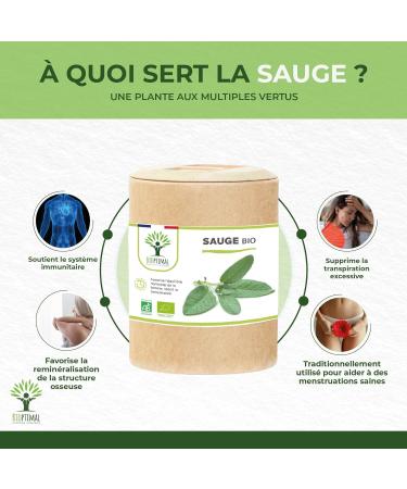 Organic sage - Bioptimal - Dietary supplement - Menopause Hot flashes - Night sweats - Painful rules - Digestion - 250mg/capsule - Made in France - Ecocert certified - 200 capsules - Buy Online on GoSupps.com