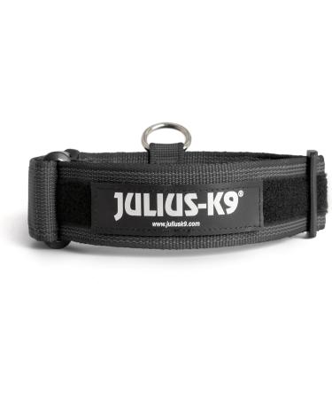 Buy Julius K-9 Color and Gray Series K9 Neck Band - Adjustable 50 mm (49-70 cm) with Handle Safety Closure | International Shipping Available - Buy Online on GoSupps.com