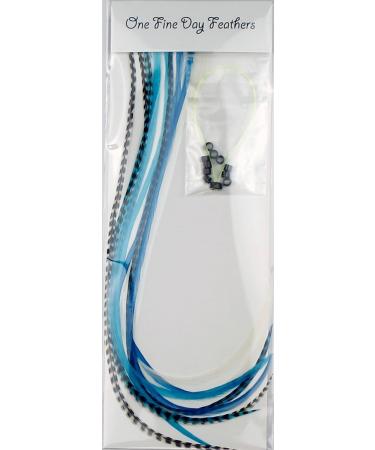 Real Feather Hair Extensions - Ice (10 Count) - Buy Online on GoSupps.com