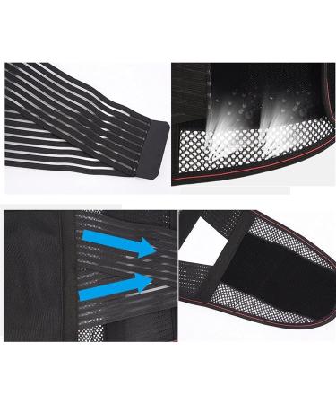 Lower Back Braces for Back Pain Relief - Compression Lumbar Support Belt for Men Women Lumbar Support Waist Backbrace for Herniated Disc Sciatica Scoliosis (Color : Black Size : Large) ((Black SMA Black Small - Buy Online on GoSupps.com