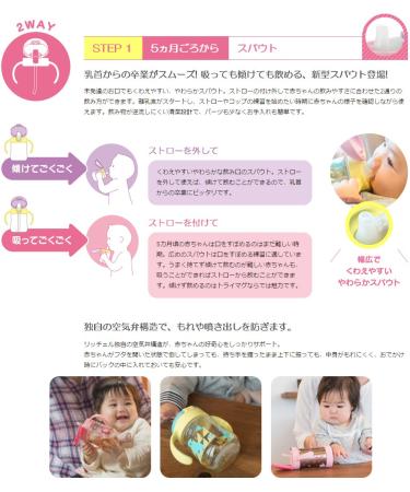 Richell Try Straw Mug Set 270ml - Ideal for Babies 5-8 Months | Step Up Transition Cup - Buy Online on GoSupps.com