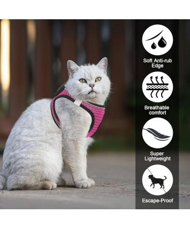 Shop Lollanda Cat Dishes with Leash & Adjustable Soft Vest - Reflective Stripe Super Small Kitten Size (S Pink) | International Shipping Available - Buy Online on GoSupps.com