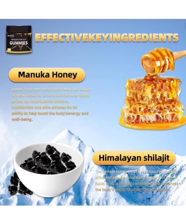 Newrish 1 Shilajit Gummies - 100% Natural Organic Himalayan Source with Ashwagandha & 85+ Trace Minerals No Added Sugar Non-GMO 30-Count for Men and Women - Buy Online on GoSupps.com