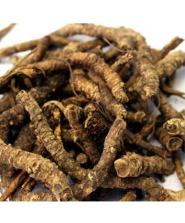 DX Kutki 50 g Picroriza Kurroa Hellabore Racine de Katukarogani Kadu Katuka - Buy Online on GoSupps.com