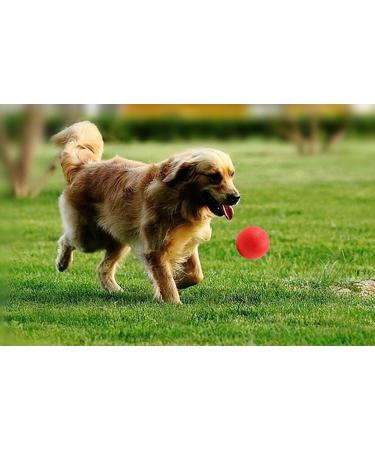 Panlom 3 Pack Dog Balls Indestructible - 100% Natural Rubber Dog Ball Non-Toxic Tough Toy for Small Medium Large Dog Medium 5.5cm/2.2inch - Buy Online on GoSupps.com