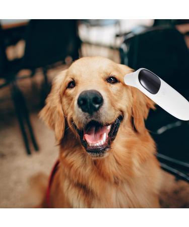 POPETPOP 1 Set Pet Thermometer Dogs Cats Accurate Temperature Dog Ear Thermometer Pet Special Thermometer Rechargeable Thermometer Dog Ear Temperature Non Contact Baby Supplies Plastic - Buy Online on GoSupps.com