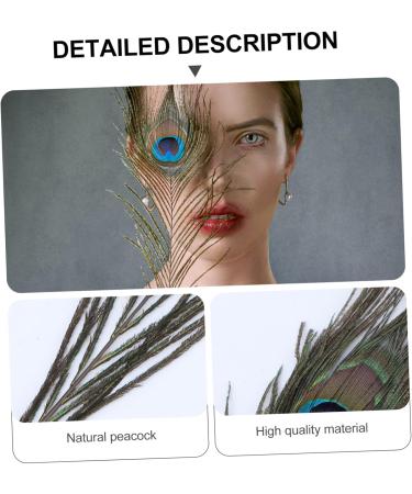 Lurrose 50pcs Peacock Tail Eye s Peacock s Peacock Tail s Peacock Eye s Crafts Natural - Buy Online on GoSupps.com
