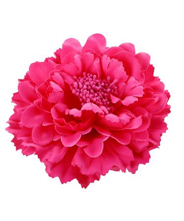 Hair Flower Clips Brooch Boutique Hair Accessories Bohemia Hairpins for Women Girls (Rose) One size