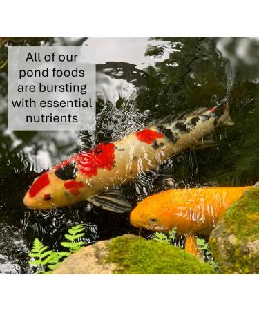 Sinking Bottom Feeder Pond Pellets 1kg Premium Quality Complete Food - Buy Online on GoSupps.com