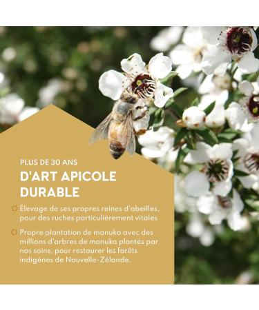 Haddrell's of Cambridge Manuka Honey MGO 550+ (UMF 16+) 250g - New Zealand Certified - High in Methylglyoxal - Sustainable Raw & High MGO - Premium Quality Honey - Buy Online on GoSupps.com