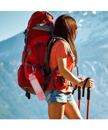 18 Pieces Mini Karabiner Keyring Set - Colorful Aluminum Clips for Outdoor Camping & Hiking - Buy Online on GoSupps.com