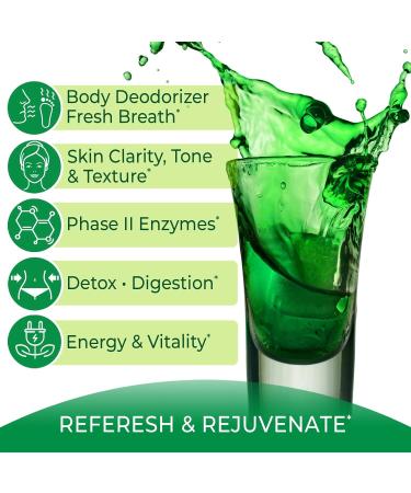 Eniva Health Liquid Chlorophyll - 16 Fl Oz. - Buy Online on GoSupps.com