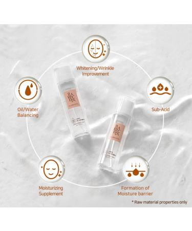 Plareceta Firming Bubble Toner Calming Skin Refreshing Hydrating Purifying Wrinkle Improvement Oil Water Balance 5.07 Fl Oz - Buy Online on GoSupps.com