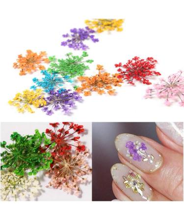 Kingmas 12 Colors Dried Flowers Nail Art Supplies - Mini Real Natural 3D Applique Decoration Sticker - Buy Online on GoSupps.com