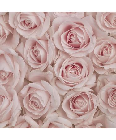 Avon Today Eau de Parfum for Her 50ml - 1.7fl.oz. Orange Ylang 1.7 Fl Oz (Pack of 1) - Buy Online on GoSupps.com